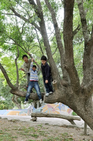 愛．在樹下！「世界地球日」大家一起來